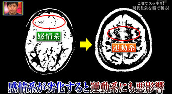 脳科学８.jpg